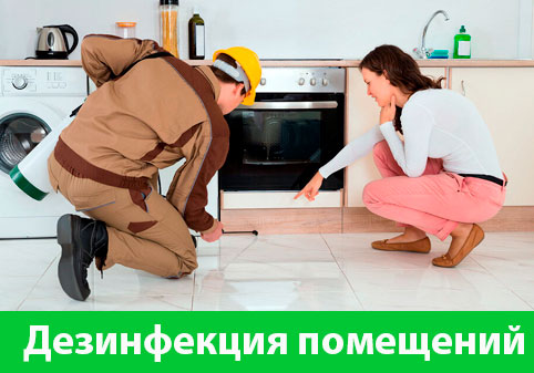 Дезинфекция офисов от коронавируса в городе Тверь