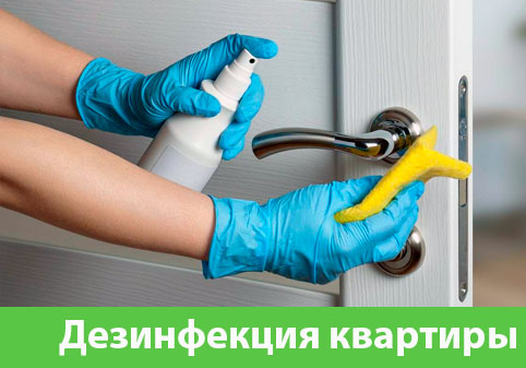 Дезинфекция квартиры в городе Тверь