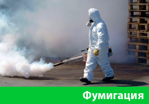 Фумигация в городе Тверь