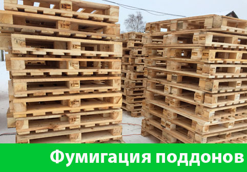 Фумигация поддонов в городе Тверь