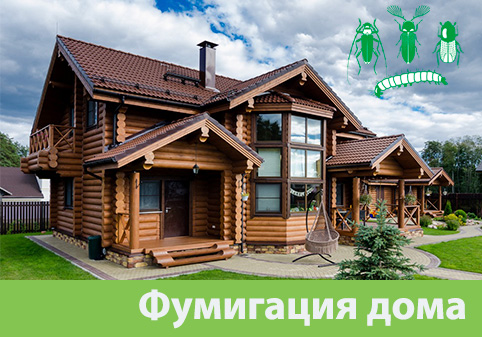 Преимущества обработки газом в городе Тверь