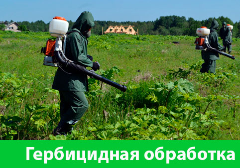 Гербицидная обработка в городе Тверь