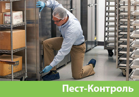 Пэст-Контроль в городе Тверь