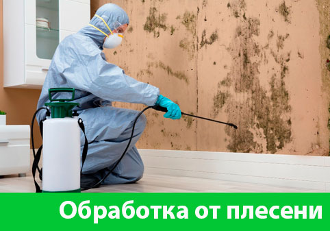 Обработка от плесени в городе Тверь