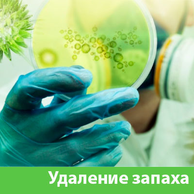 Удаление запахов в Твери