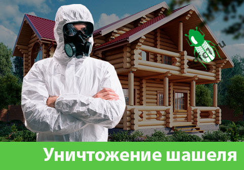 Уничтожение шашеля и личинок в Твери