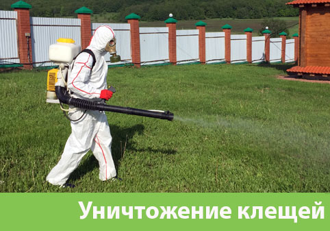 Уничтожение клещей в городе Тверь