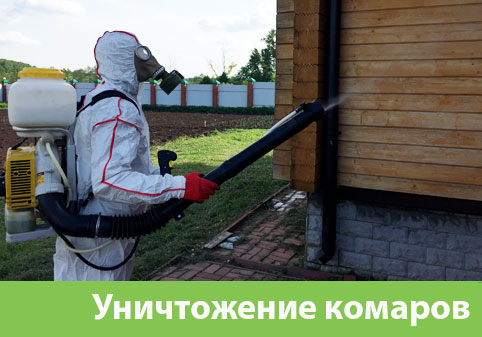 Уничтожение комаров в городе Тверь